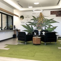 charm-city-medicus-08